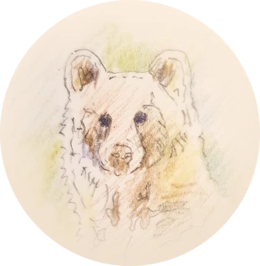 ¿Quién le teme al oso?